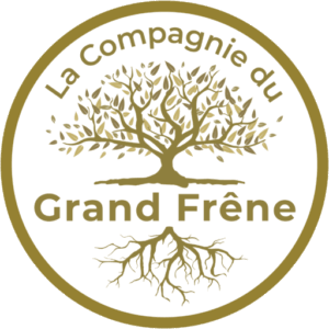 LOGO_NEW_CIE GF_Bichrome+fond